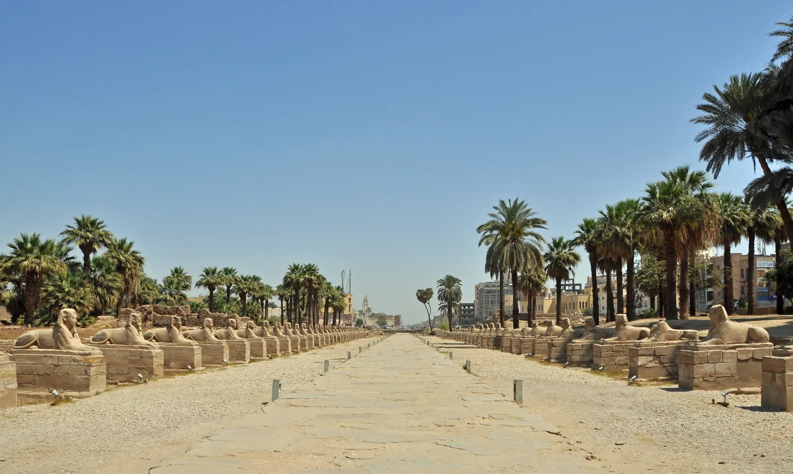 The Avenue of Sphinxes leading to Luxor Temple